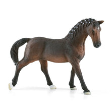 Afbeelding in Gallery-weergave laden, Schleich Horse Club - Ruitershop - 42568