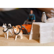 Afbeelding in Gallery-weergave laden, Elin Derwael 🩷 Schleich Wild Life National Geographic Kids - Antartica expeditie - 42624