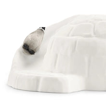 Afbeelding in Gallery-weergave laden, Elin Derwael 🩷 Schleich Wild Life National Geographic Kids - Antartica expeditie - 42624
