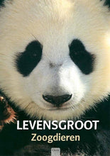 Afbeelding in Gallery-weergave laden, Levensgroot - Zoogdieren - Etsuo Narushima