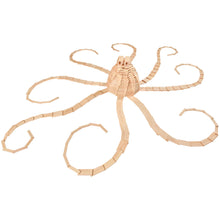 Afbeelding in Gallery-weergave laden, Kapla box 1000 - PACK 1000