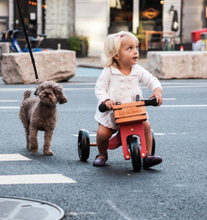 Afbeelding in Gallery-weergave laden, Kinderfeets 876015 Kratje voor loopfiets