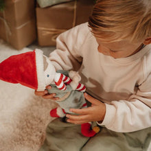 Afbeelding in Gallery-weergave laden, Little Dutch knuffelpop Jim Kerstmis 35 cm - LD4539