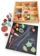 Afbeelding in Gallery-weergave laden, Tender Leaf Toys mijn bosbodemdoos