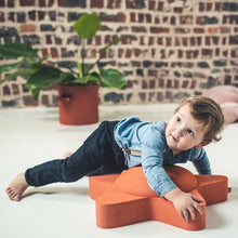 Afbeelding in Gallery-weergave laden, MOES Play - Open ended Balance board - Starfish
