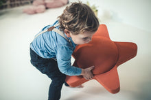 Afbeelding in Gallery-weergave laden, MOES Play - Open ended Balance board - Starfish