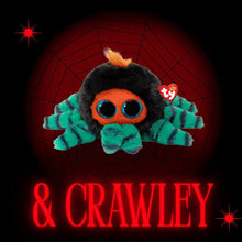 Afbeelding in Gallery-weergave laden, Ty Beanie Baby small - Crawley de Spin - TY37414
