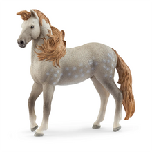 Afbeelding in Gallery-weergave laden, Schleich Horse Club Andalusische hengst - 14895

