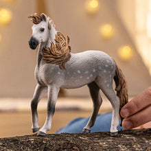 Afbeelding in Gallery-weergave laden, Schleich Horse Club Andalusische hengst - 14895
