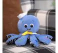 Afbeelding in Gallery-weergave laden, Baby Einstein Octoplush Musical Toy
