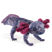 Afbeelding in Gallery-weergave laden, Folkmanis vingerpop Zwarte Axolotl - 3208
