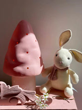 Afbeelding in Gallery-weergave laden, Egmont Toys Paddenstoellamp klein - Vintage Pink
