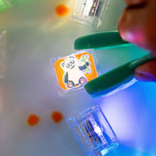 Afbeelding in Gallery-weergave laden, GloPals lichtblokjes - Zoo
