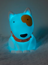 Afbeelding in Gallery-weergave laden, Dhink Color loop - Atmosphere light - nachtlampje Hond
