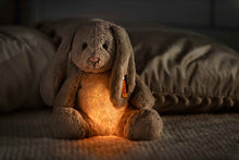 Afbeelding in Gallery-weergave laden, Steiff Friends – Light at Night Hoppie rabbit, light grey - 28 cm
