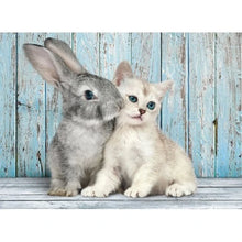 Afbeelding in Gallery-weergave laden, Elena &amp; Elise 💝 Clementoni puzzel Bunny &amp; Cat - 500 stukjes
