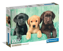 Afbeelding in Gallery-weergave laden, Clementoni puzzel - 3 labrador puppies - 1000 stukjes
