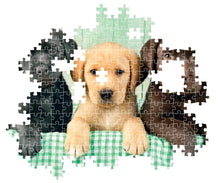 Afbeelding in Gallery-weergave laden, Clementoni puzzel - 3 labrador puppies - 1000 stukjes
