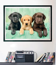 Afbeelding in Gallery-weergave laden, Clementoni puzzel - 3 labrador puppies - 1000 stukjes
