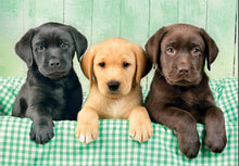 Afbeelding in Gallery-weergave laden, Clementoni puzzel - 3 labrador puppies - 1000 stukjes

