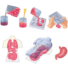 Afbeelding in Gallery-weergave laden, Clementoni Wetenschap &amp; Spel - Squishy Anatomie
