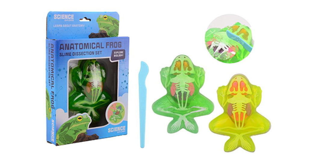 Science Explorer Kikker Anatomie Slijm