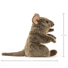 Afbeelding in Gallery-weergave laden, Folkmanis handpop Kangoeroe met korte staart/QUOKKA
