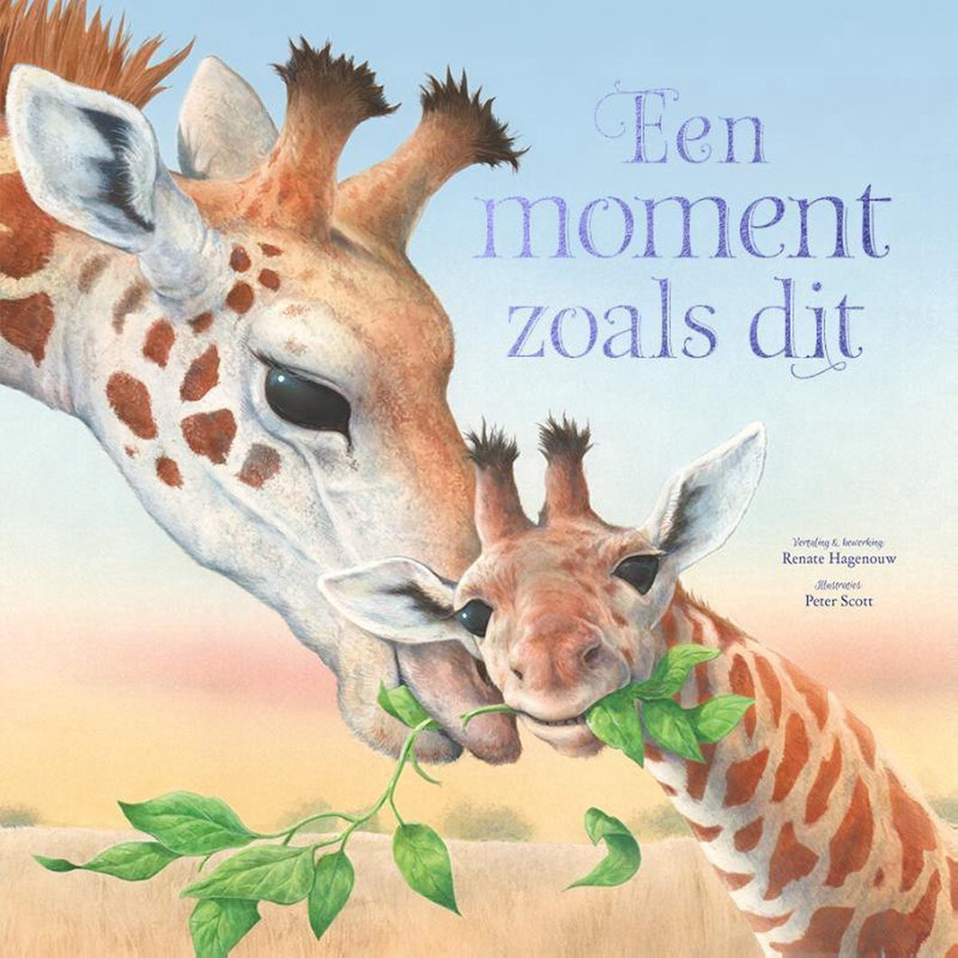 Rebo Uitgeverij boek - Een moment zoals dit - Renate Hagenouw & Peter Scott