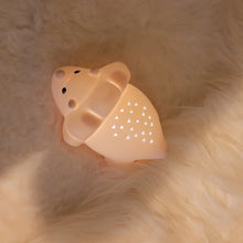 Afbeelding in Gallery-weergave laden, Atelier Piere Junior - Juliette dino LED nachtlampje - Fuzzy roze
