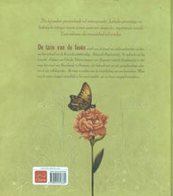 Afbeelding in Gallery-weergave laden, Clavis boek - De tuin van de feeën - Sébastien Perez &amp; Benjamin Lacombe
