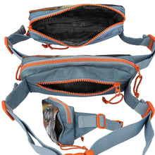 Afbeelding in Gallery-weergave laden, Depesche Dino World crossbag heuptasje dino - 11775
