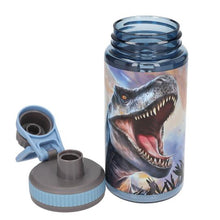 Afbeelding in Gallery-weergave laden, Depesche Dino World drinkfles 500 ml - 13989
