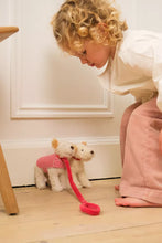Afbeelding in Gallery-weergave laden, Egmont Toys Knuffel hond Eliot met riem &amp; jas
