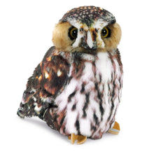 Afbeelding in Gallery-weergave laden, Folkmanis Pygmy Owl - Dwerguil handpop
