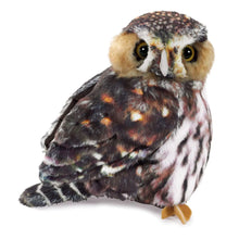 Afbeelding in Gallery-weergave laden, Folkmanis Pygmy Owl - Dwerguil handpop
