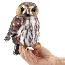 Afbeelding in Gallery-weergave laden, Folkmanis Pygmy Owl - Dwerguil handpop

