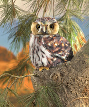 Afbeelding in Gallery-weergave laden, Folkmanis Pygmy Owl - Dwerguil handpop
