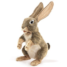 Afbeelding in Gallery-weergave laden, Folkmanis handpop Haas Jack Rabbit - 3200
