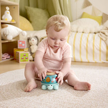 Afbeelding in Gallery-weergave laden, Hape Toys - Twist &amp; Tune Turtle - E0140
