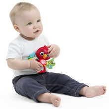 Afbeelding in Gallery-weergave laden, Hape Toys Baby Einstein Roxy's Bright Flight Musical Toy
