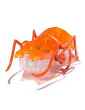 Afbeelding in Gallery-weergave laden, Hexbots Micro Ant - robot mier
