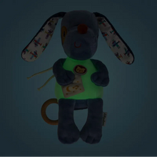 Afbeelding in Gallery-weergave laden, Lilliputiens Glow-in-the-dark muziekknuffel Jules de hond - 83620

