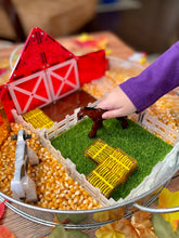 Afbeelding in Gallery-weergave laden, MAGNA-TILES® Farm Animals 25 piece - 22125
