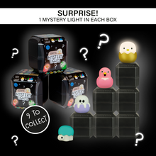 Afbeelding in Gallery-weergave laden, Eggy mystery lights - blindbox serie 1 Dieren
