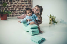 Afbeelding in Gallery-weergave laden, MOES Play Turtle &amp; Baby turtle

