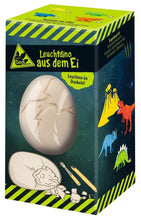 Afbeelding in Gallery-weergave laden, Moses Dino uithakei glow in the dark dino 4 assorti
