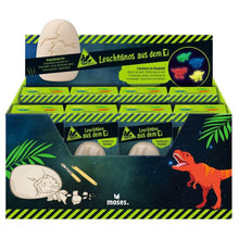 Afbeelding in Gallery-weergave laden, Moses Dino uithakei glow in the dark dino 4 assorti

