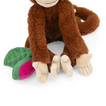 Afbeelding in Gallery-weergave laden, Moulin Roty  - La Foret Mawa - Activiteitenknuffel aap Mochica
