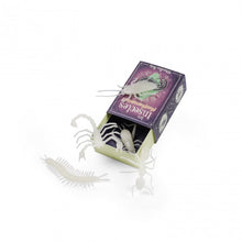 Afbeelding in Gallery-weergave laden, Moulin Roty Glow in the dark Insecten - 711393
