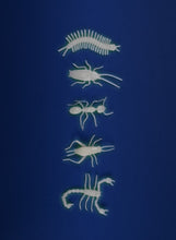 Afbeelding in Gallery-weergave laden, Moulin Roty Glow in the dark Insecten - 711393
